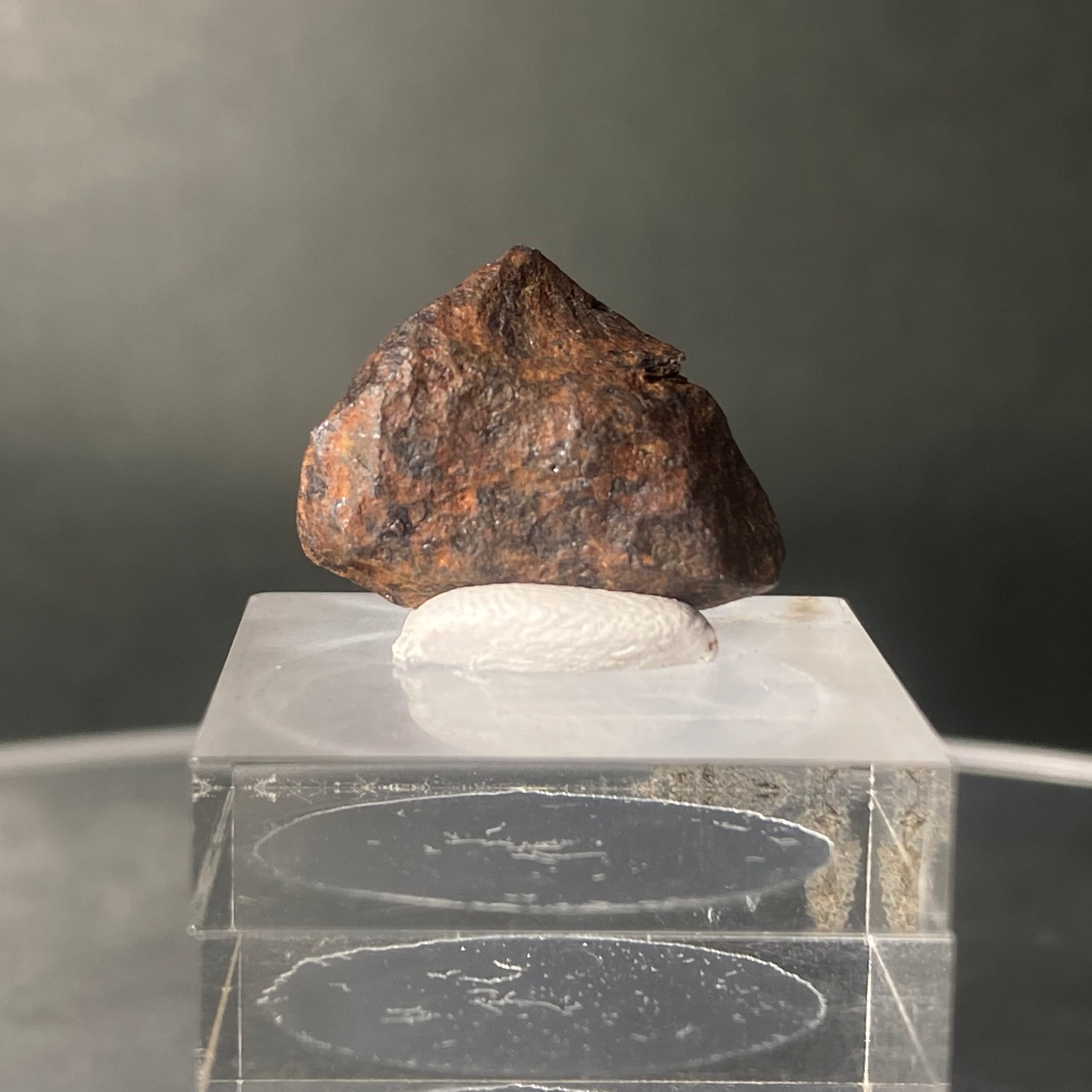 UNISEX S/M コレクション出品 マンドラビラ隕石 レア 160g 大型 鉄隕石