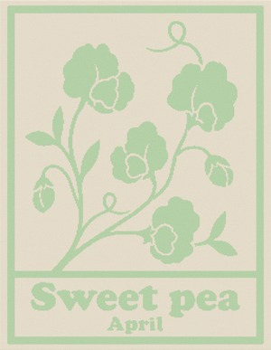 フラワーシリーズ ＜NAME BLANKET　スイートピー  ＞アイボリーxライム　POP【お名前ブランケット / オーガニックコットン】