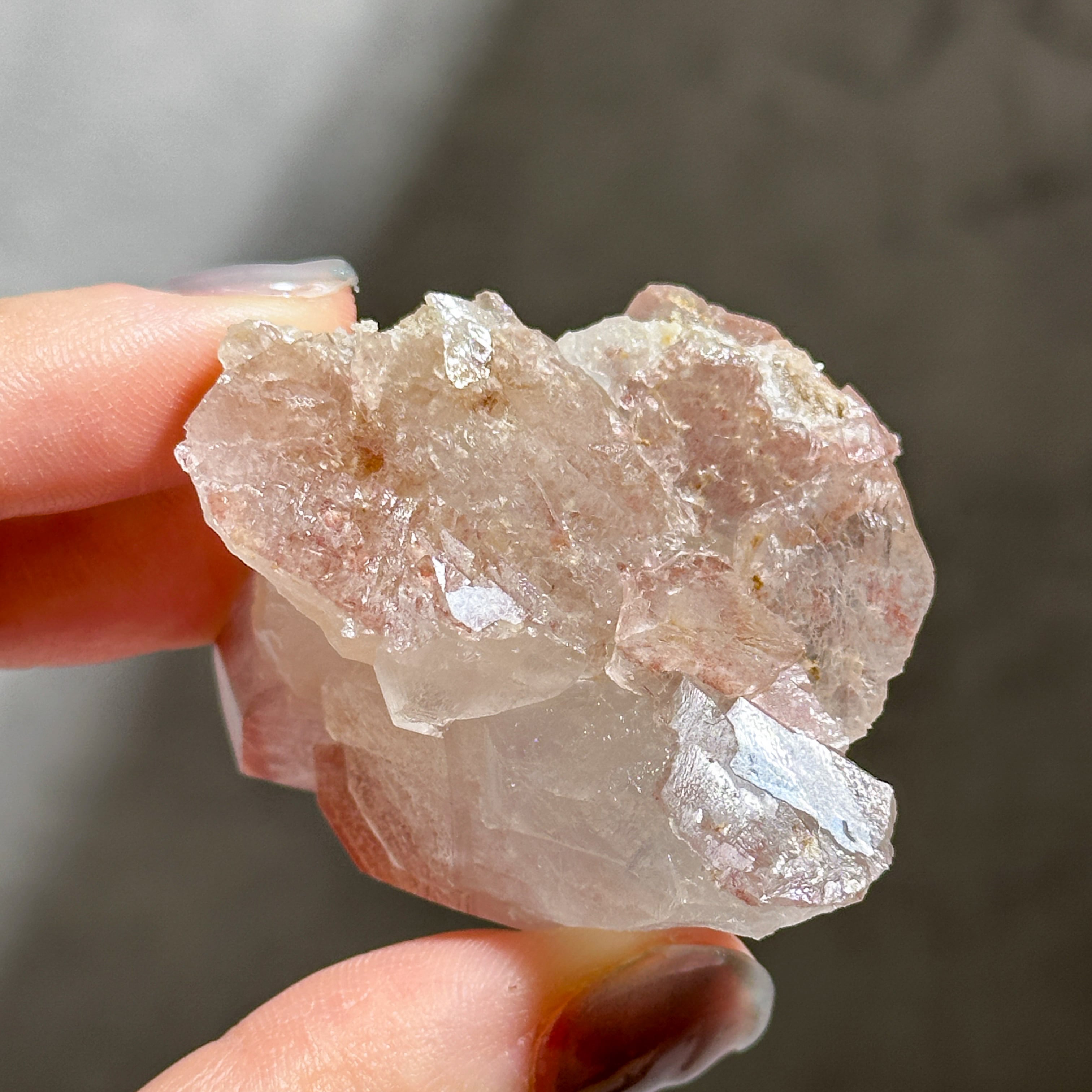 レコードキーパー有り◎ディアマンティーナ産ピンクレムリアン