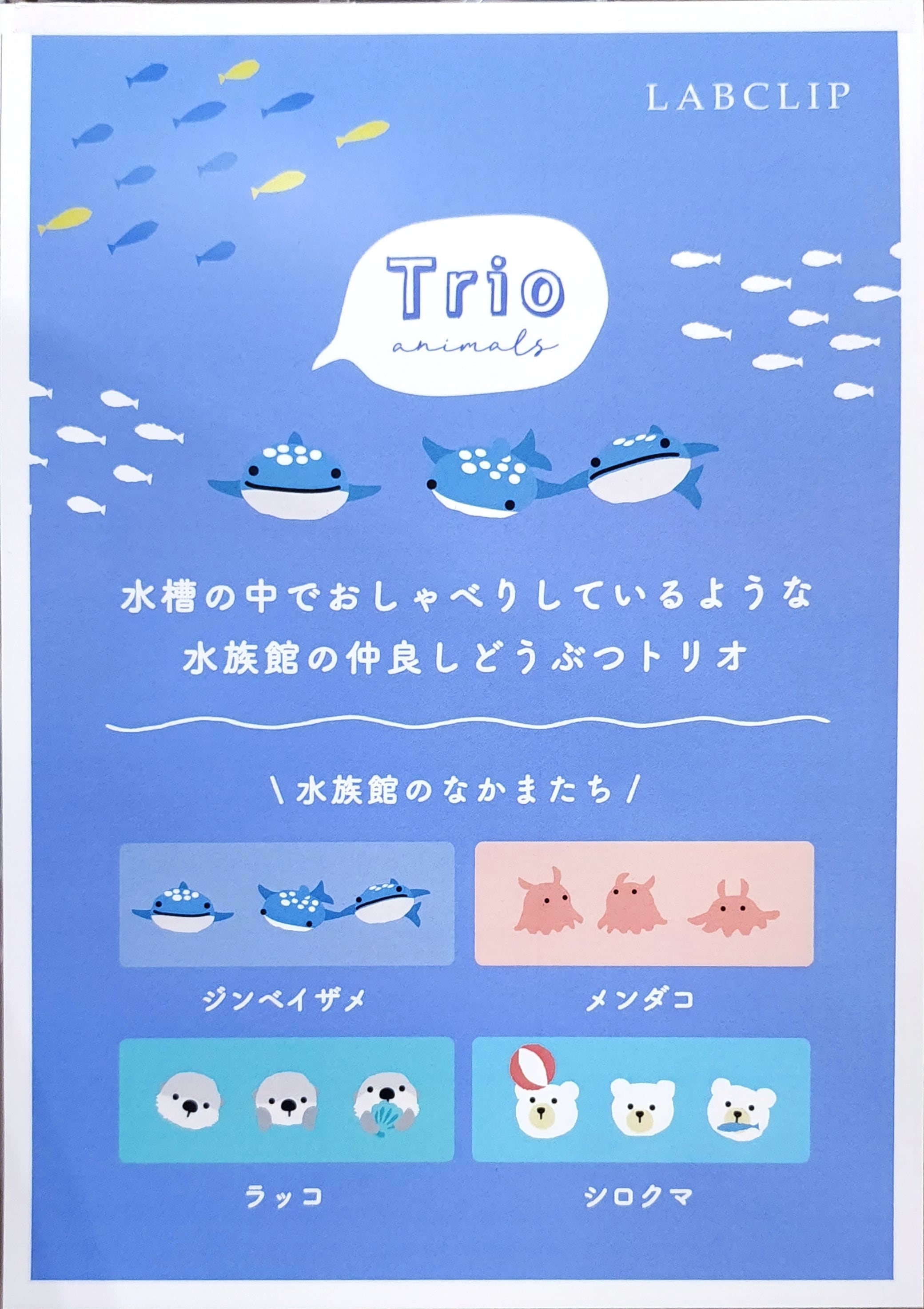 LABCLIP】トリオ 水族館のなかまたち ミニレター | Conte' | コンテ