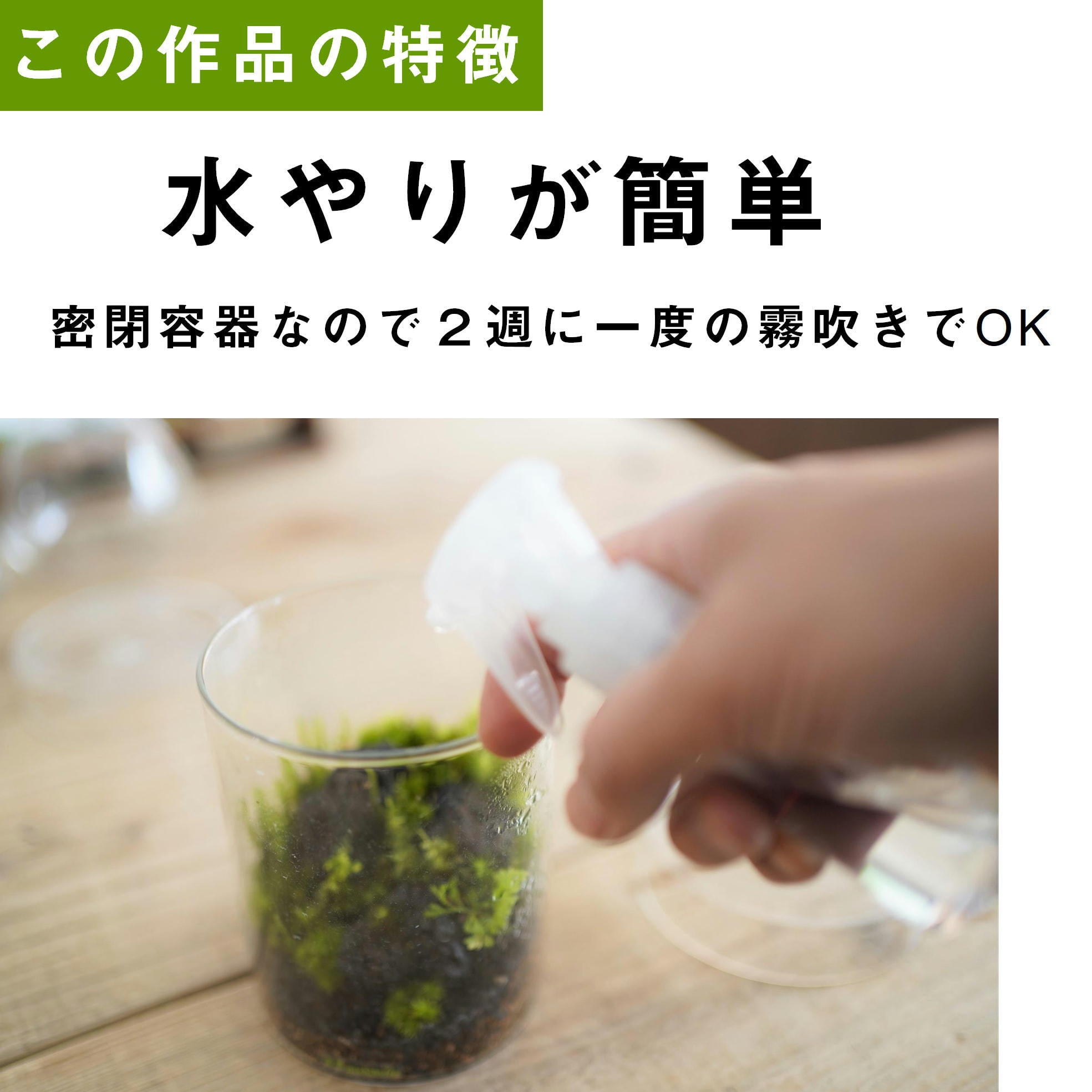 景色を楽しむ苔テラリウム】苔景シリンダー Lsize ◇プレゼントに人気