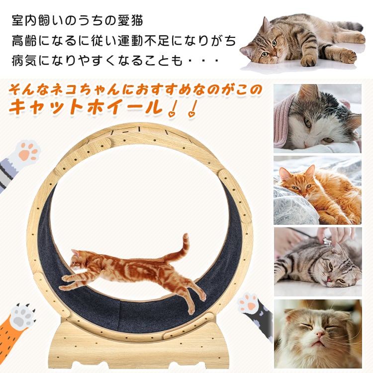 キャットホイール 猫 小犬トレッドミル ローラー ルームランナー 回し
