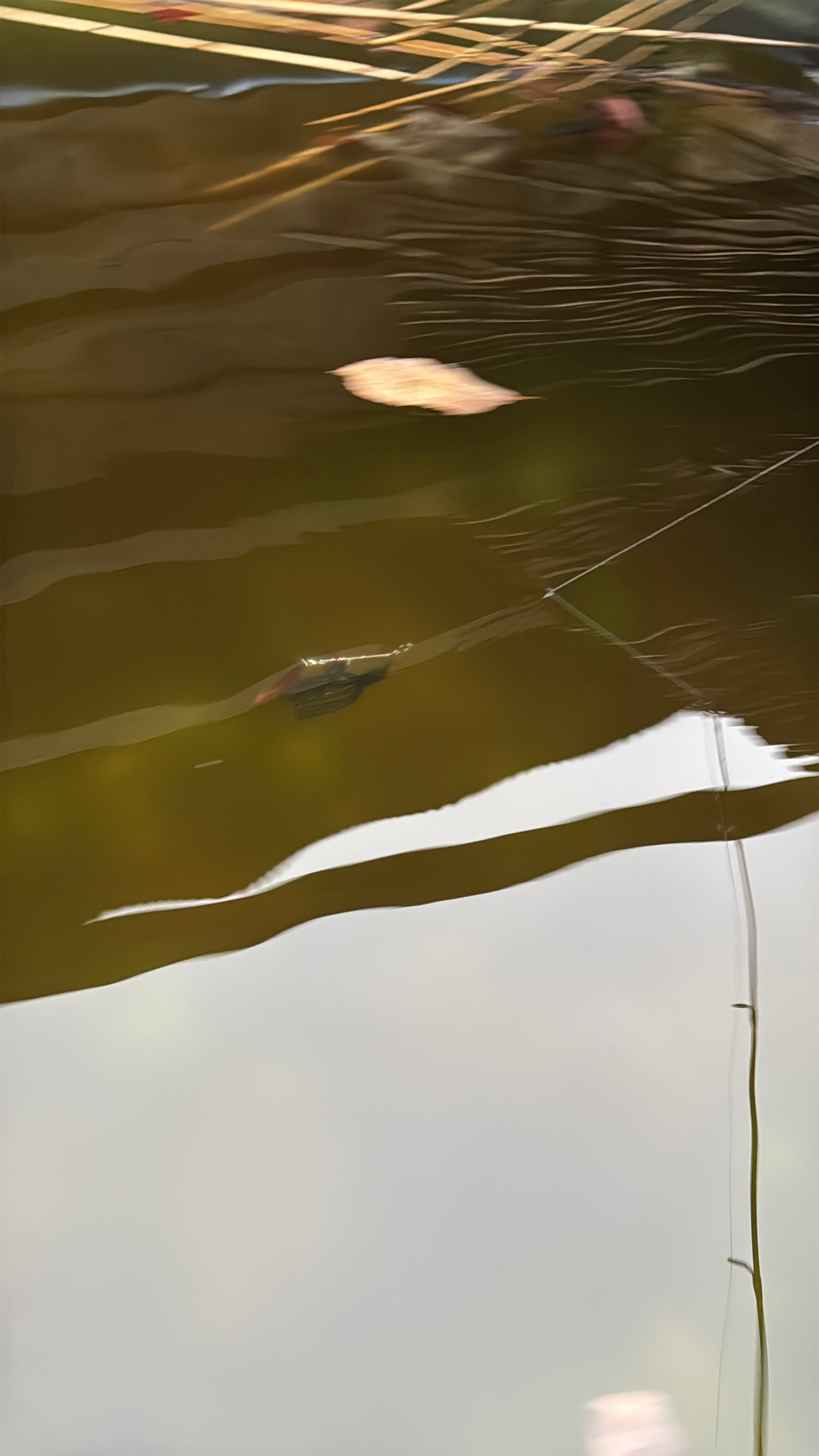 スピナーベイト用の黒檀ブレード