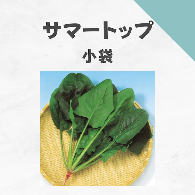 サマートップ　ホウレンソウ種子・小袋