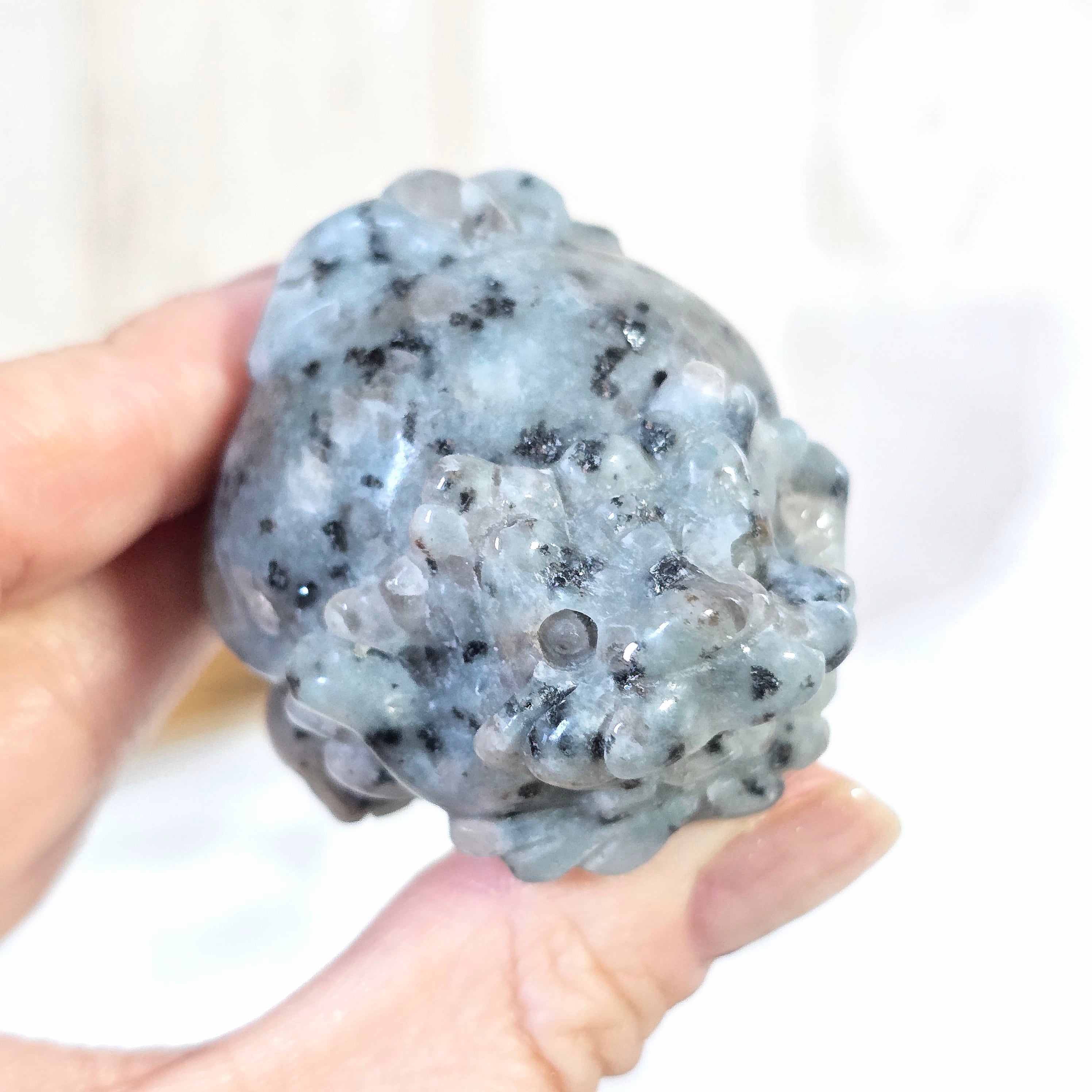 水晶 ロングイ 虹キラキラ龍亀 | 送料無料の鉱物のお店˗ˋchat