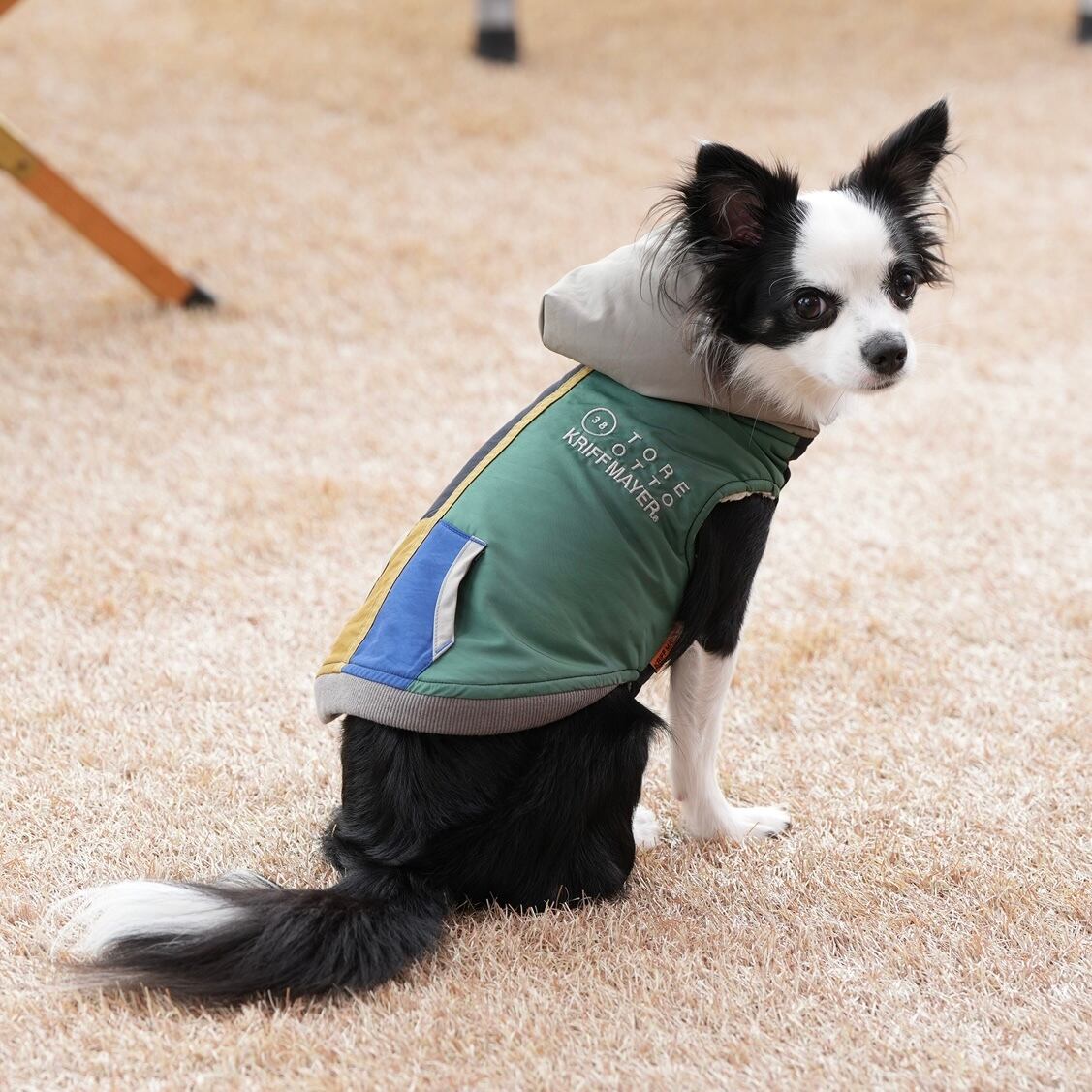ドッグウェアCP対象】DOGひっくりベスト（MULTI-COLOR） | 38explore