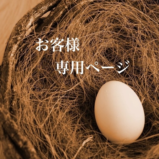 生焼けアップルパイ×ほぼ日5年手帳カバー(A6)