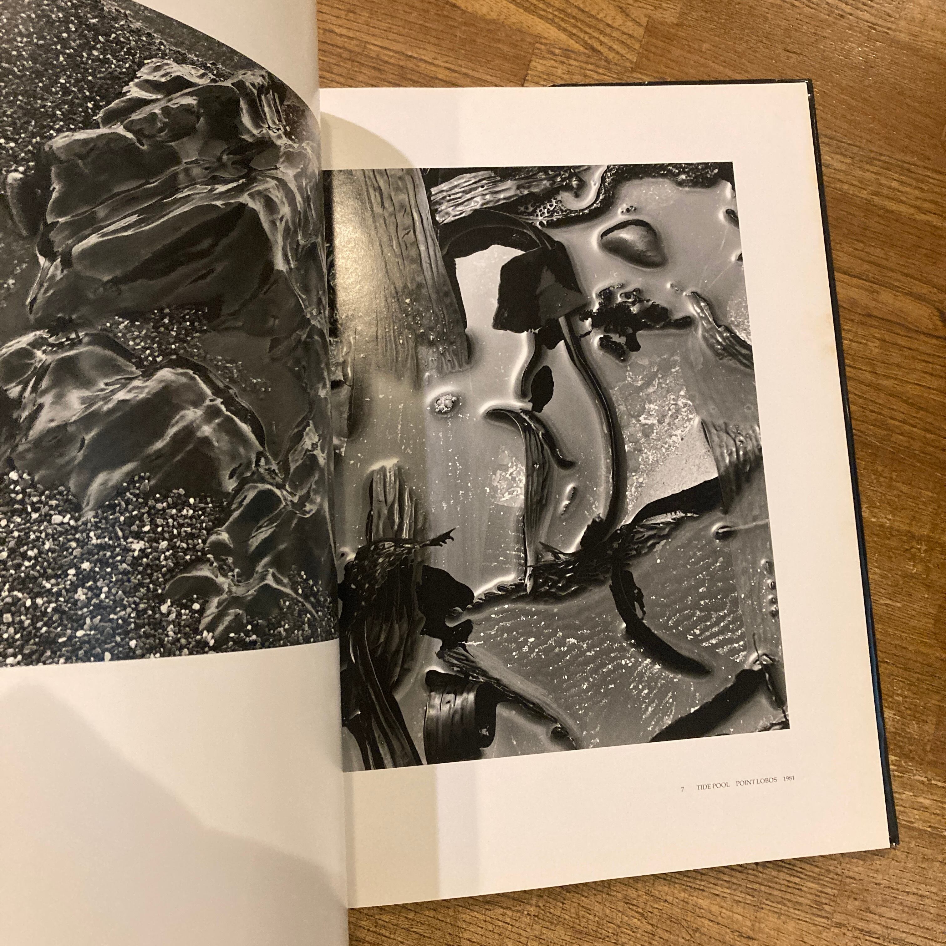 Brett Weston a Personal Selection / Brett Weston | 百年