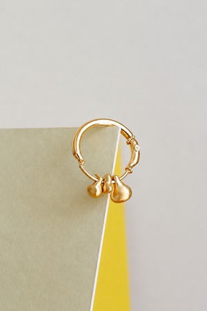 ring 20 - R - 11