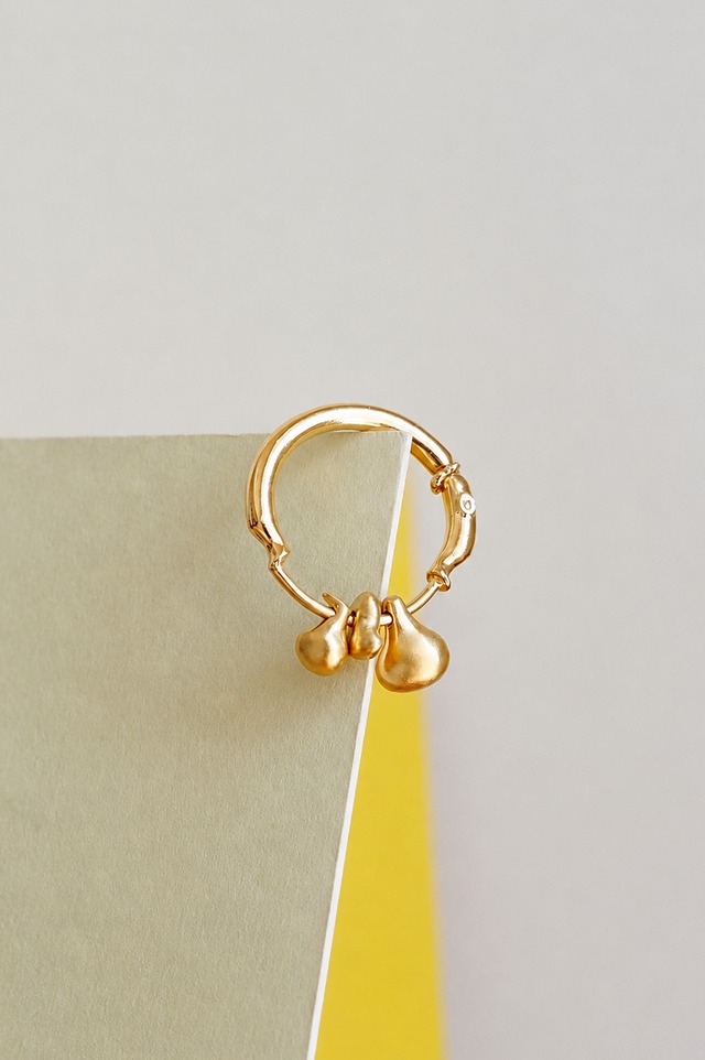 ring 20 - R - 11