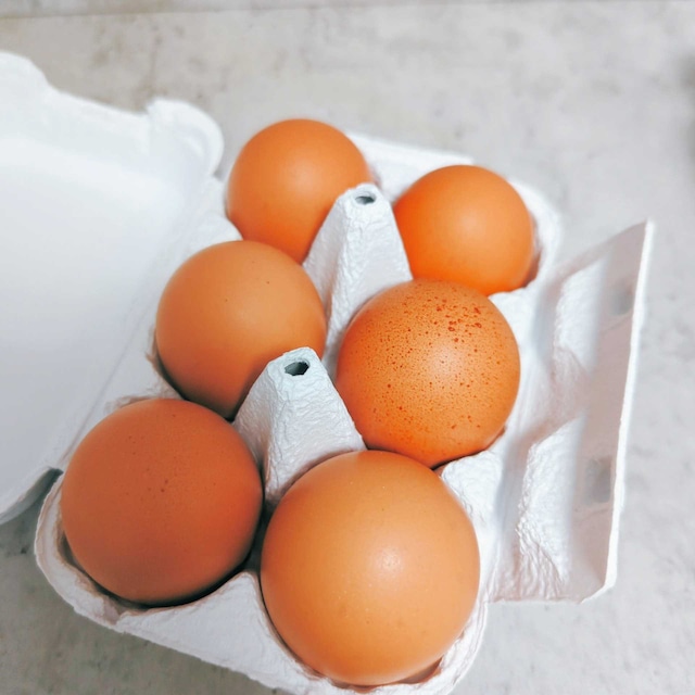 黒富士農場 日本初 リアルオーガニック卵  (6個パック)