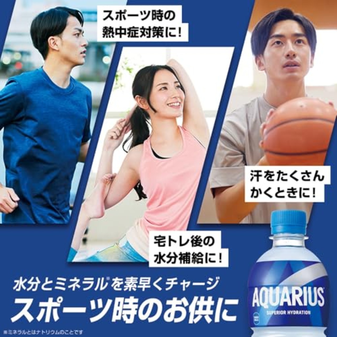 コカ・コーラ アクエリアス ラベルレス500mlPET×24本