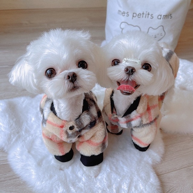 【即納】ノバチェックリバーシブルブルゾン