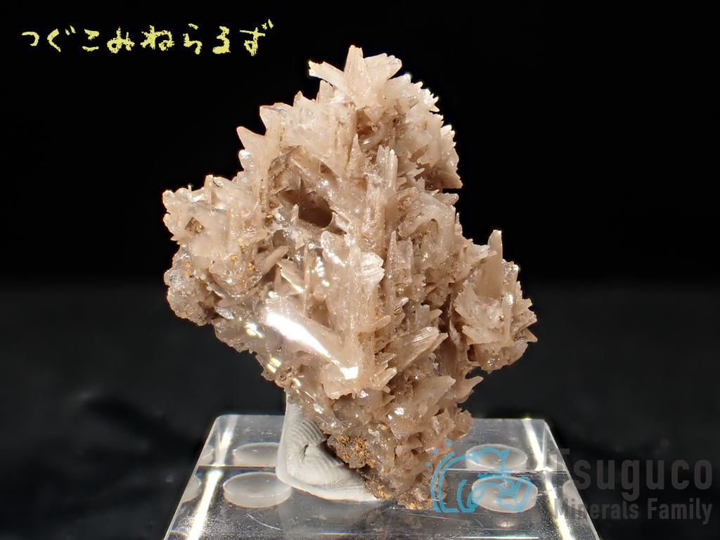 セルサイト 白鉛鉱 Cerussite イラン TM-0040