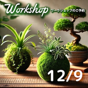 コロンと丸い、私だけの小さな森 12月09日(火) コロンと丸い、私だけの小さな森 12月09日(火)