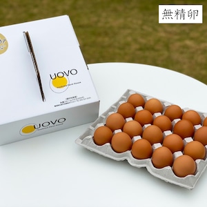 天上卵（無精卵・中玉）20個
