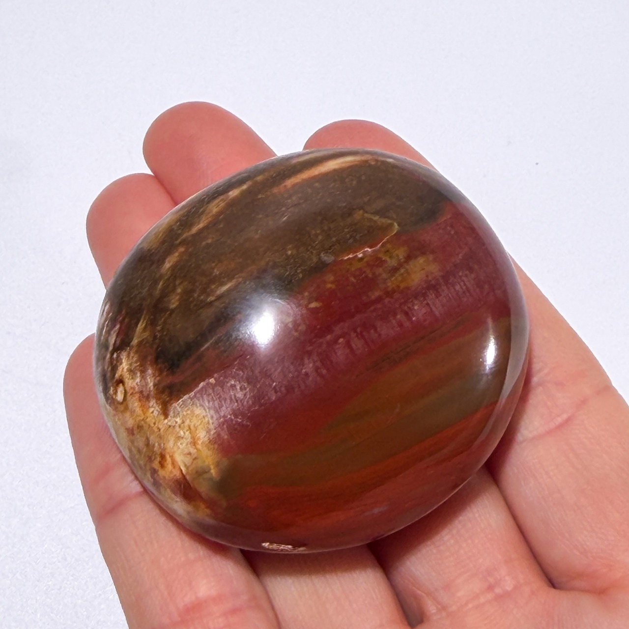 ペトリファイドウッド02 パーム ＊ Petrified Wood ＊ 天然石