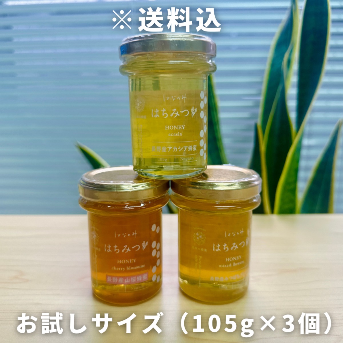 再出】アカシア蜂蜜 1000g 2本 長野県産 国産蜂蜜 生蜂蜜 西洋蜜蜂