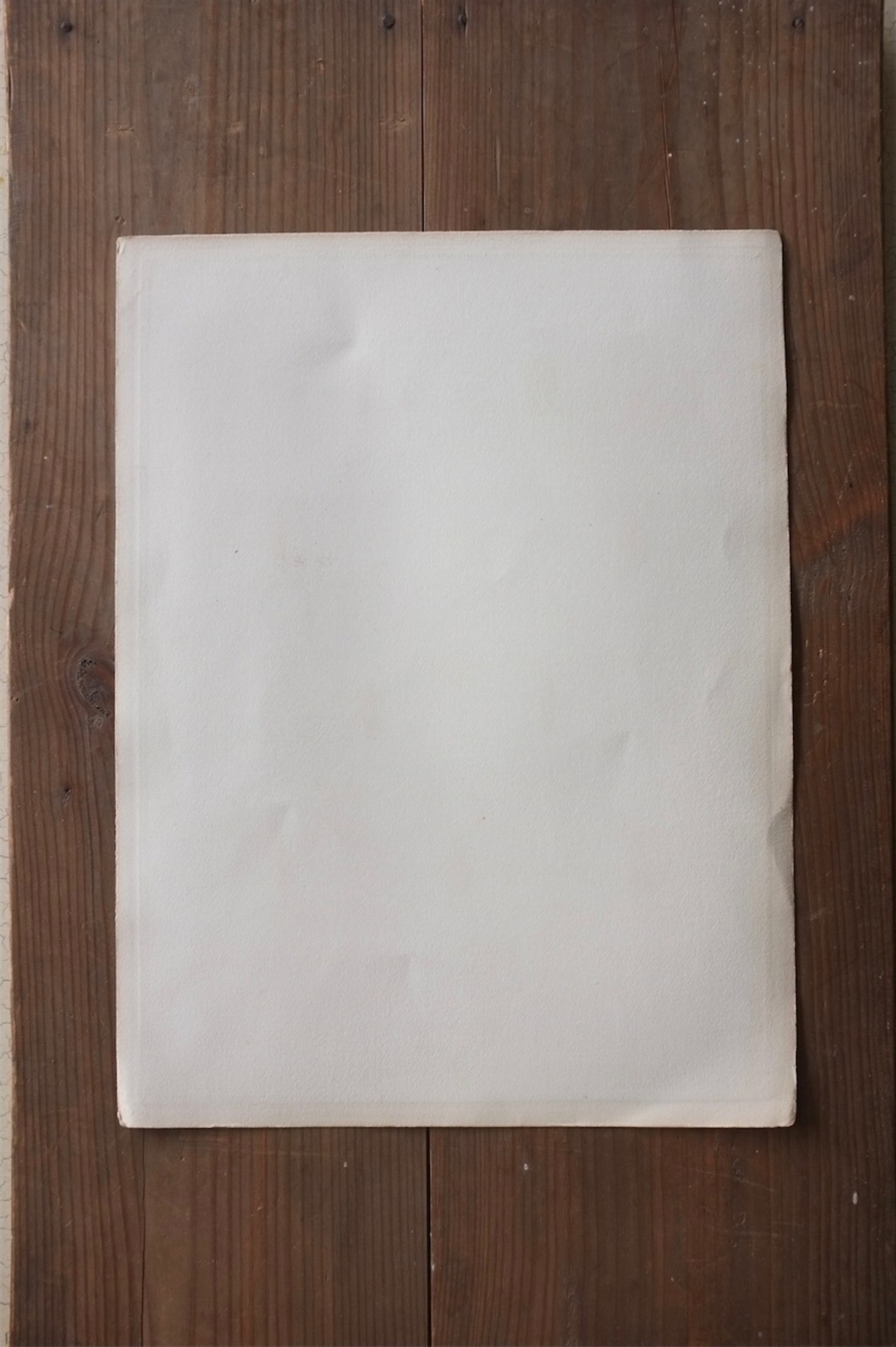 1840s exploration scientifique de l'Alg?rie 37cm 虫の彩色図版c