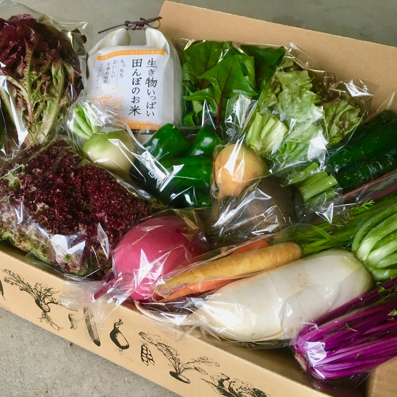 お米とお野菜のセットM（送料別途）