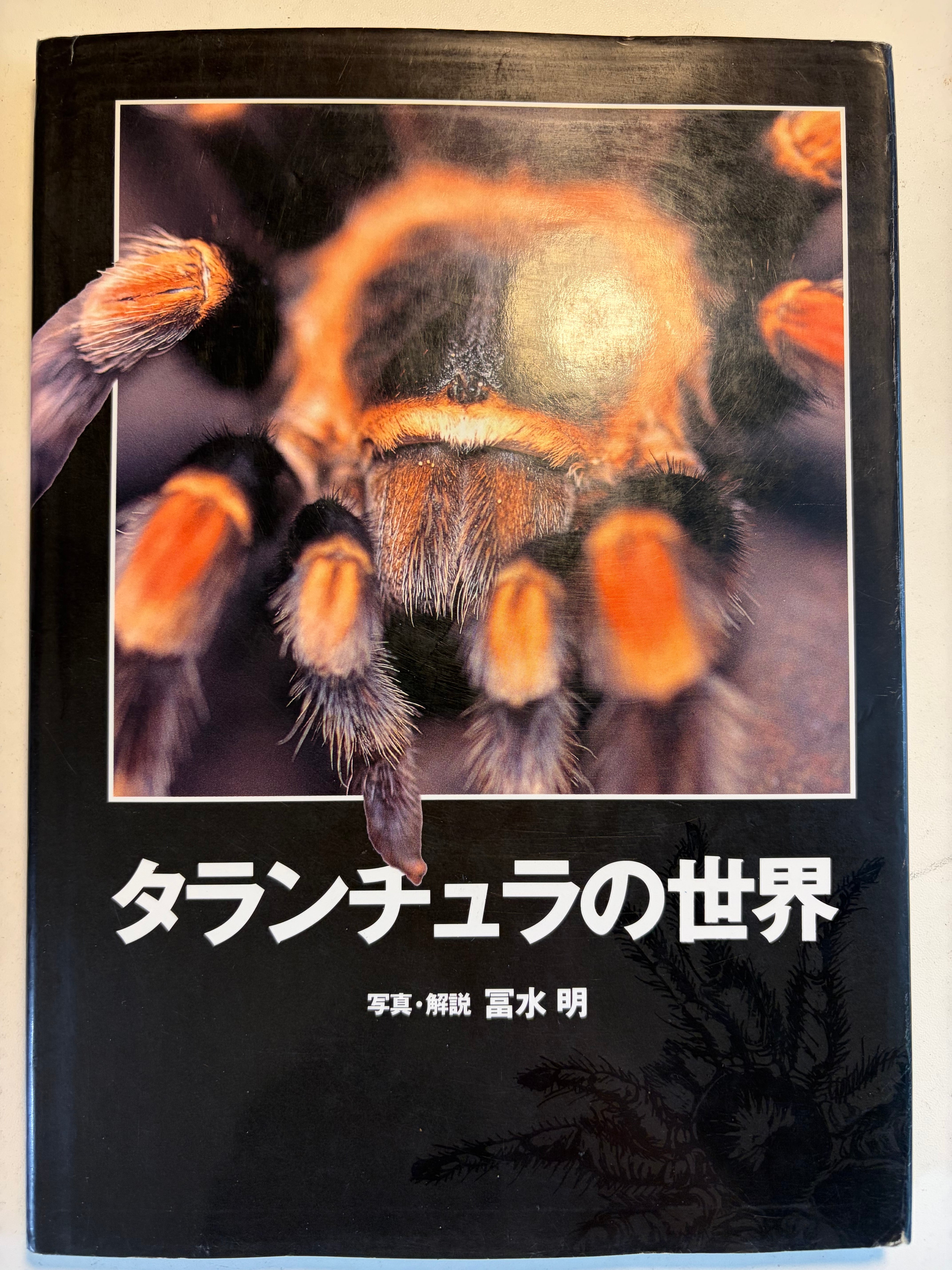 オモニキチュウ