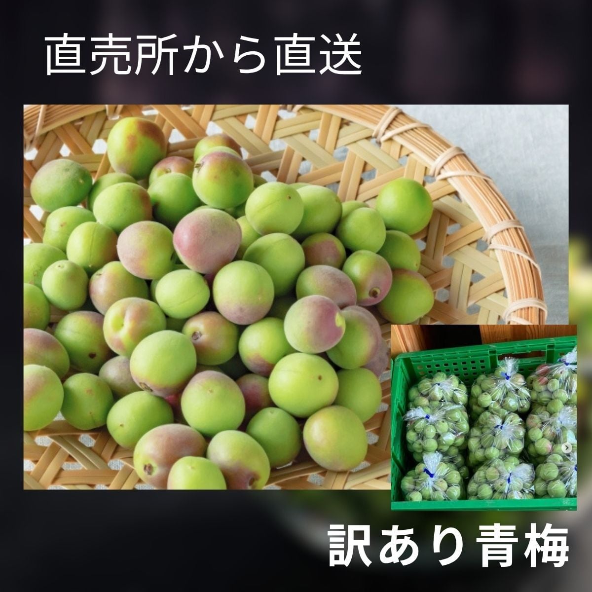 7月の朝採り直売野菜 ： 梅干し用生梅 約 1キロ 7月1日発送予定