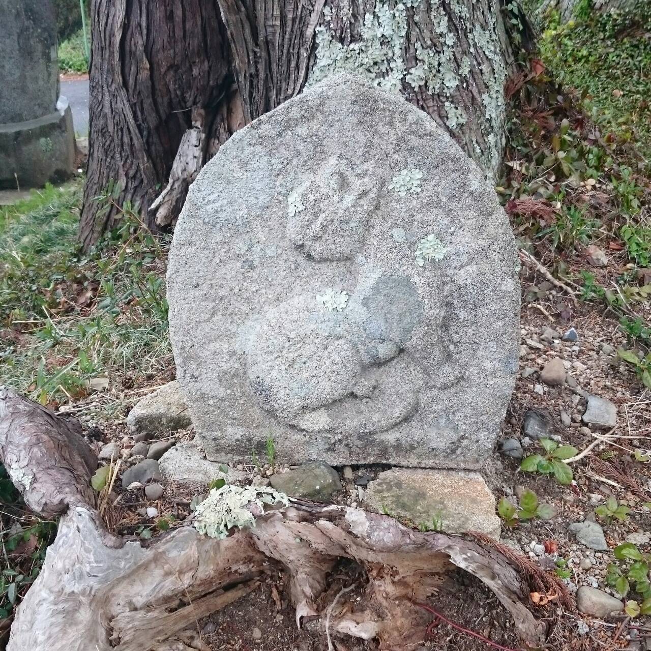 猫神様が通る10ヶ入り | eisendo