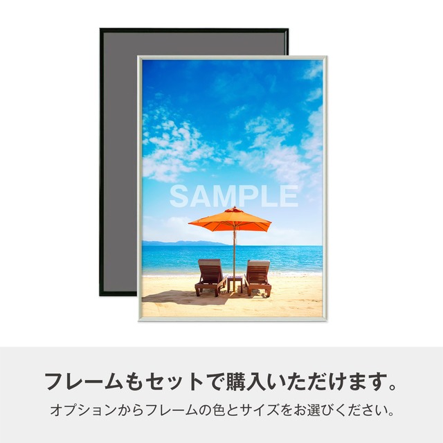 【海のいきものアートポスター／魚】トウアカクマノミ