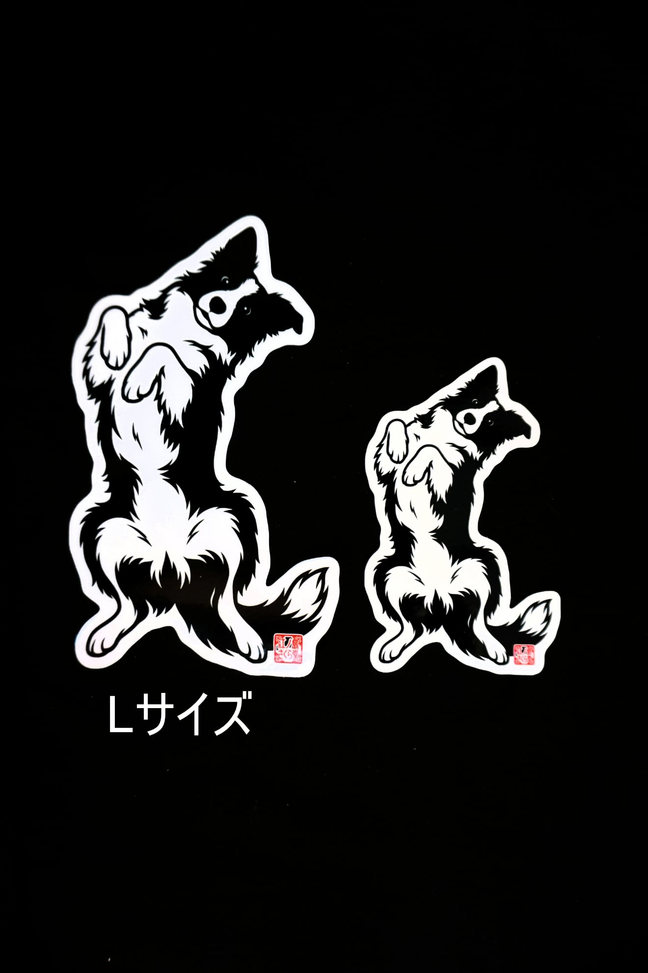 ボーダーコリー ステッカーM（仰向け・ごろん） | 江ノ島さくら堂 本店