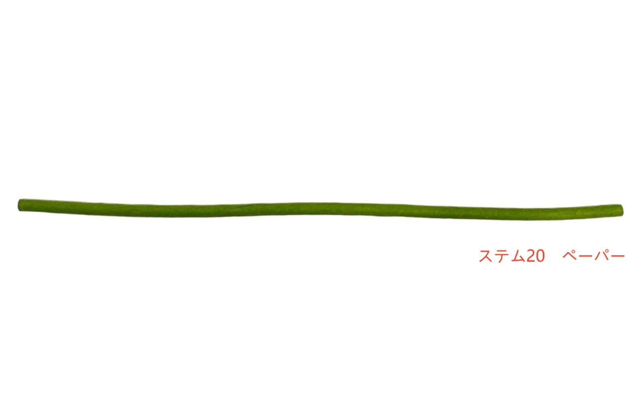 ジャイアントフラワー ステム20