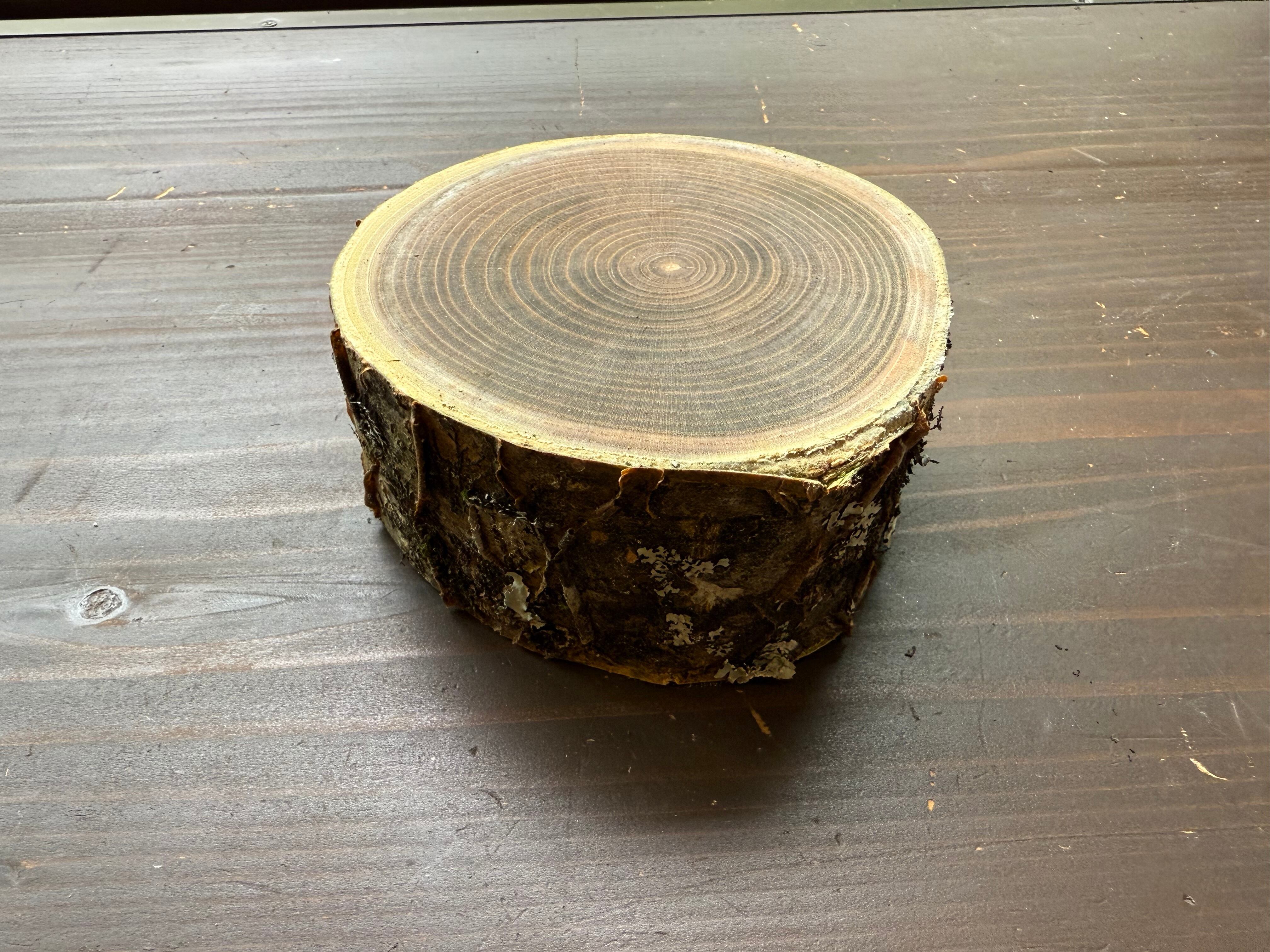 槐の木丸太 槐（えんじゅ）の木 丸太 【縁起の良い木】 | 水窪の星の駅碧-AOI-