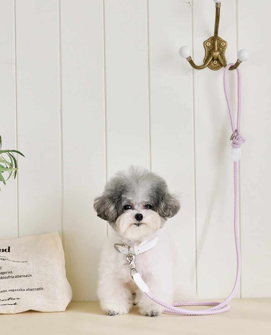即納【stroll】Rope Leash Slim (New Lilac)
