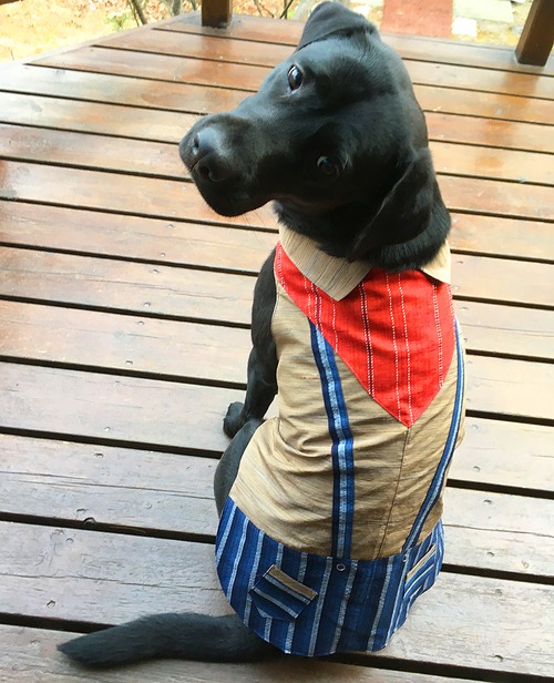 わんこ服 大型犬用 ３L "赤いバンダナふう襟、縞々柄の♂スカートの服”E-5