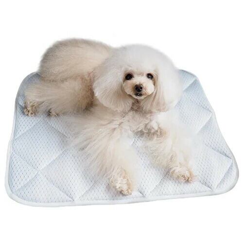 appy アッピィ 超クール プレイマット SS <br>犬猫用 オーガニックコットン 接触冷感 ひんやり 夏用