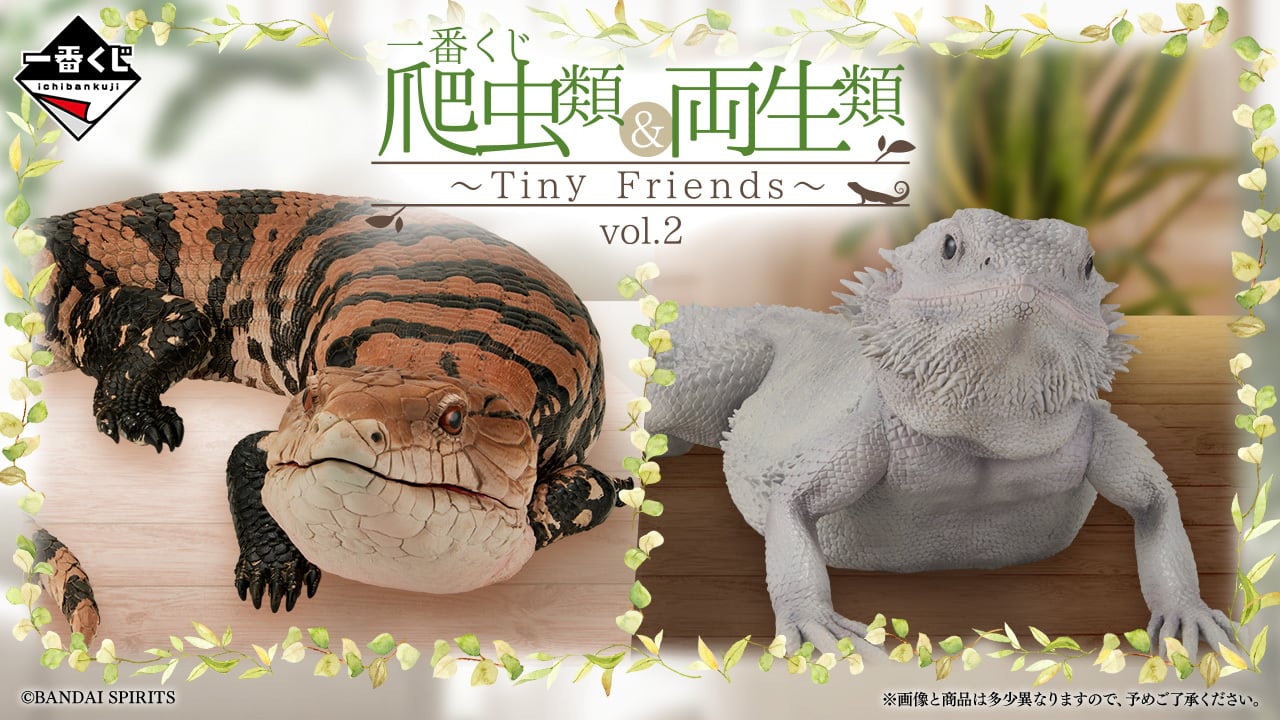 [コンプリートセット] 一番くじ 爬虫類＆両生類 第2弾 2025年7月25日(金)より順次発売予定