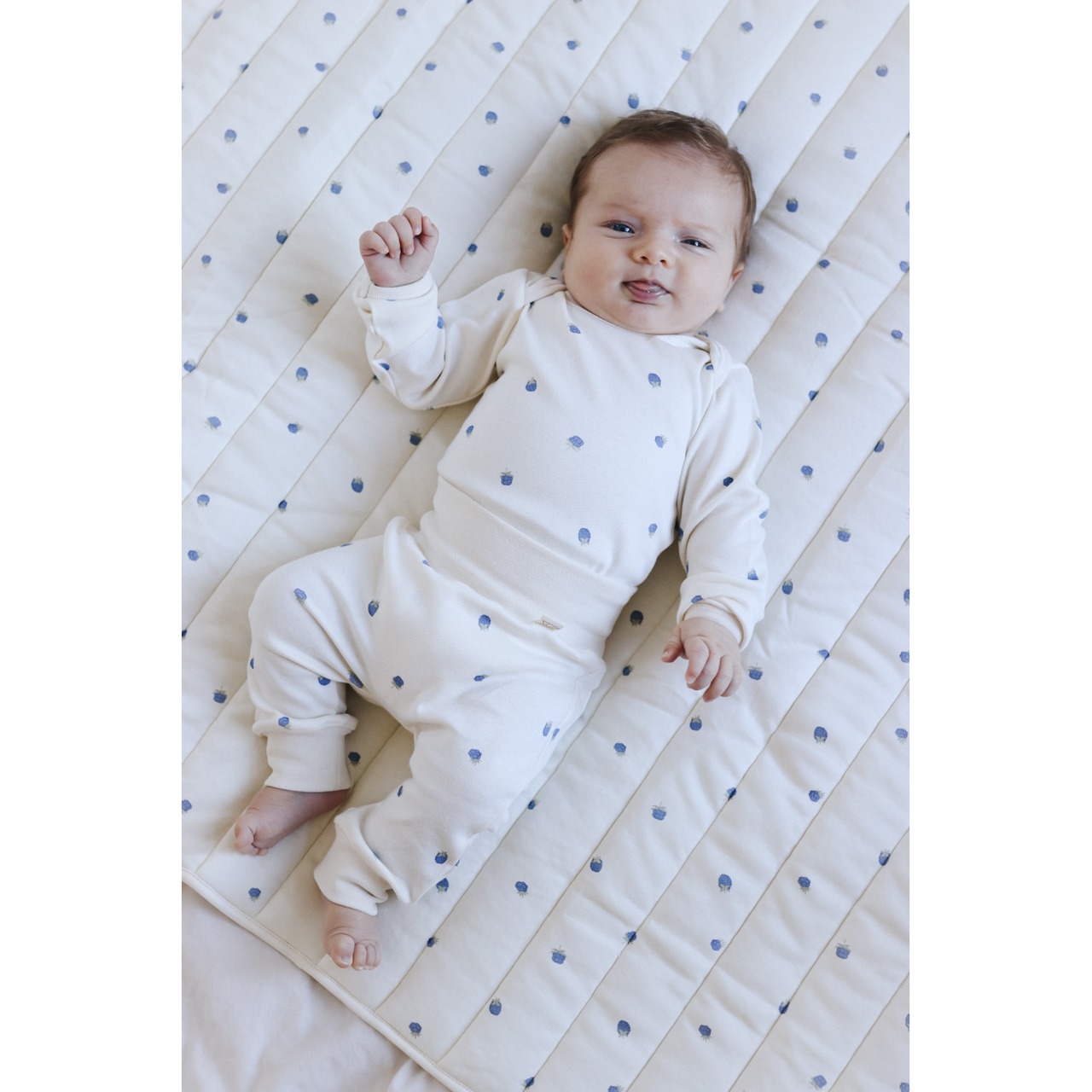 NorthBaby　Blueberry Organic Body