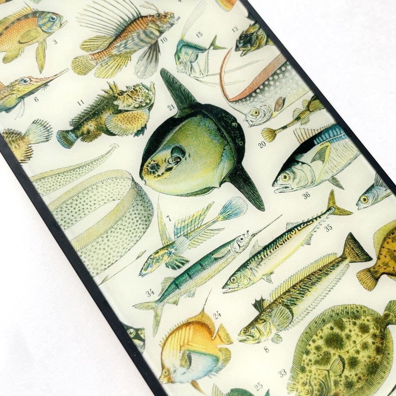 【アドルフ・フィリップ・ミロー】～海産魚～ 絵画スマホケースiPhone用 全機種対応 強化ガラス製