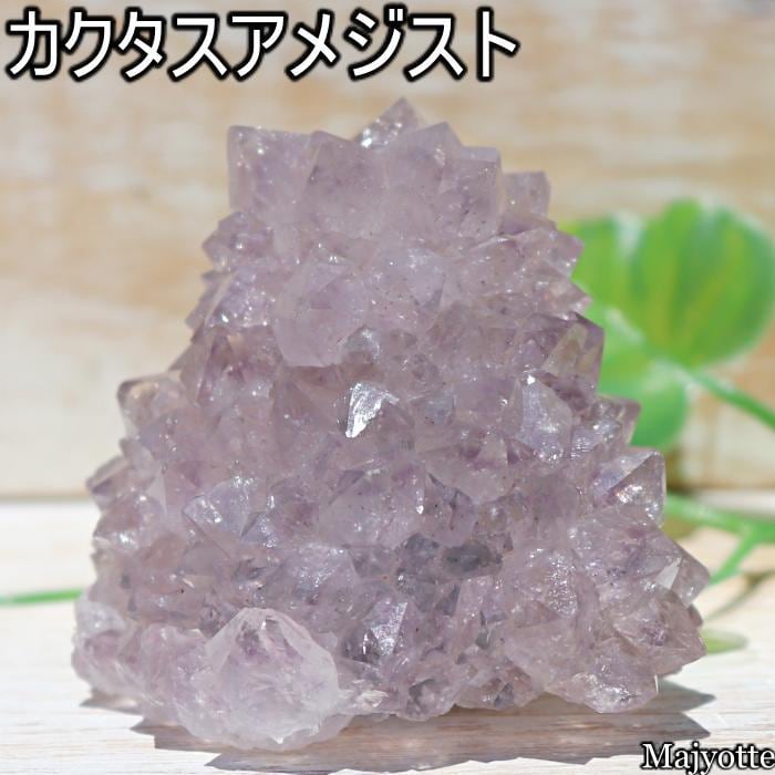 カクタスアメジスト（インド産） | 天然石 “Majyotte”