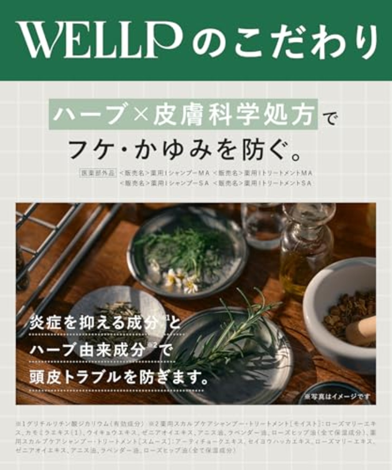 WELLP ウェルプ | シャンプー トリートメント セット 詰め替え 【スムース】 フケ スカルプケア 医薬部外品