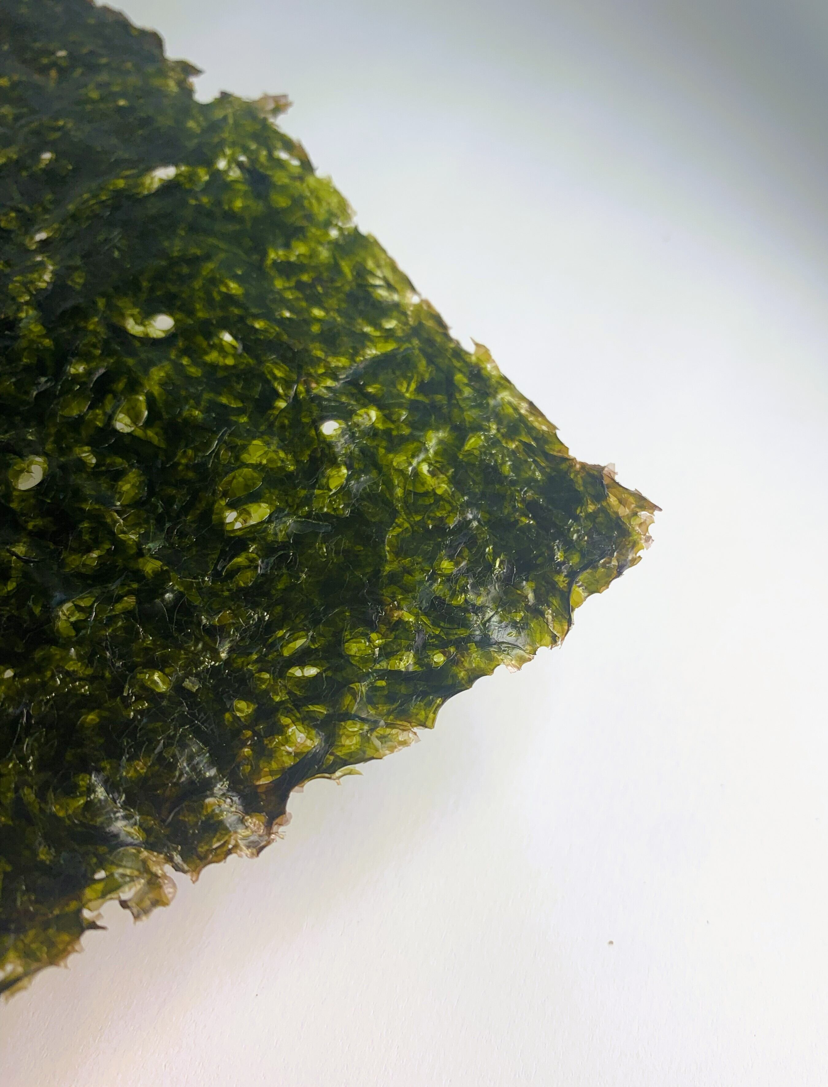 焼き海苔 無選別穴あき海苔(15枚入り) | 海苔卸問屋 肥後ふるかわ