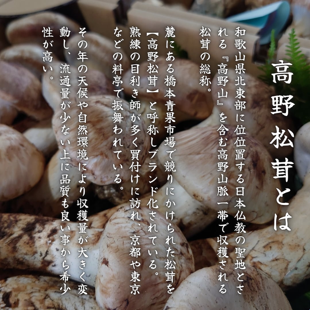 2026年10月上旬から順次発送】国産松茸 300g ランク《》 無くなり次第