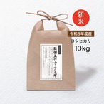令和8年度産　能登島のふるさと米 10kg