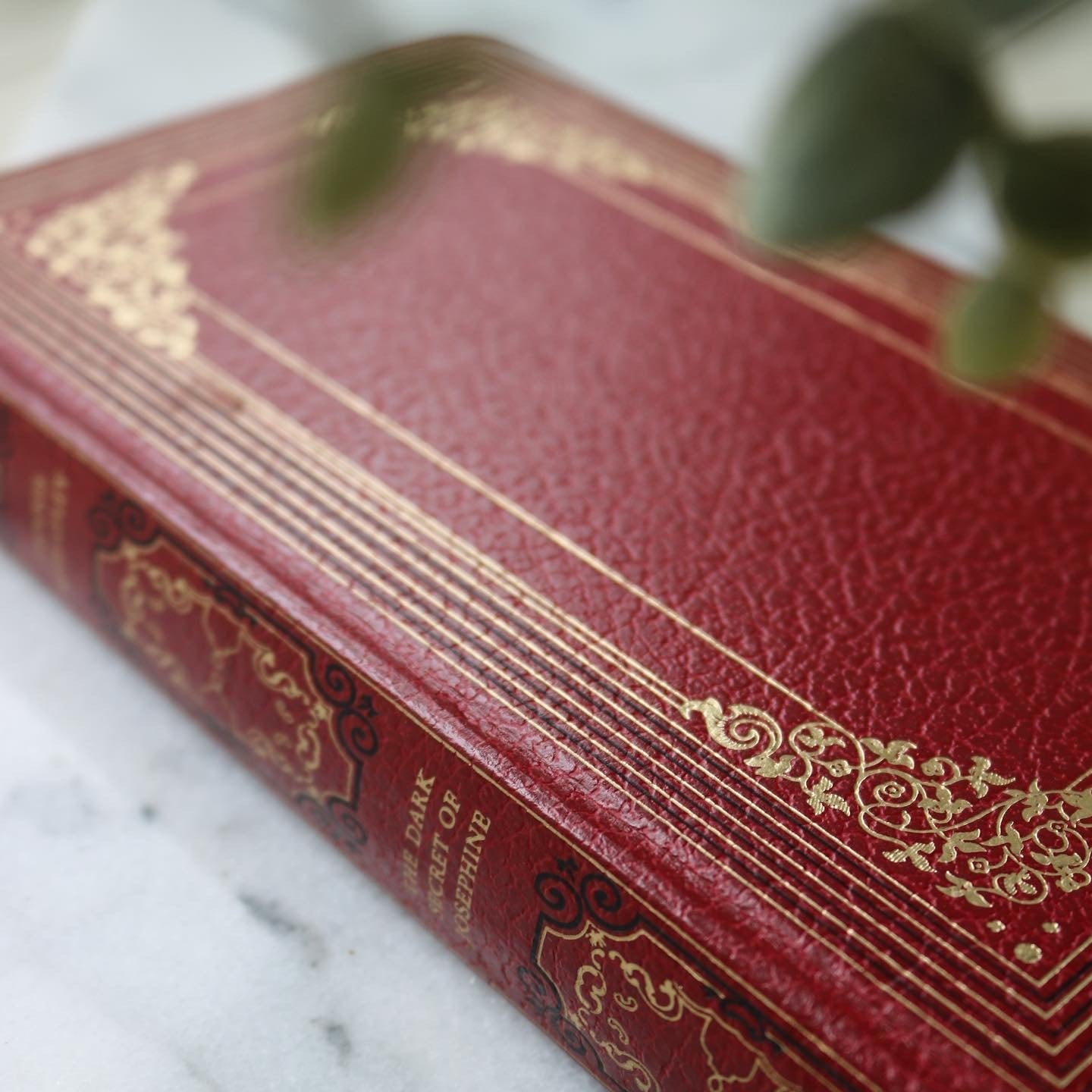 c508590dab27f1f965d3891fb12753