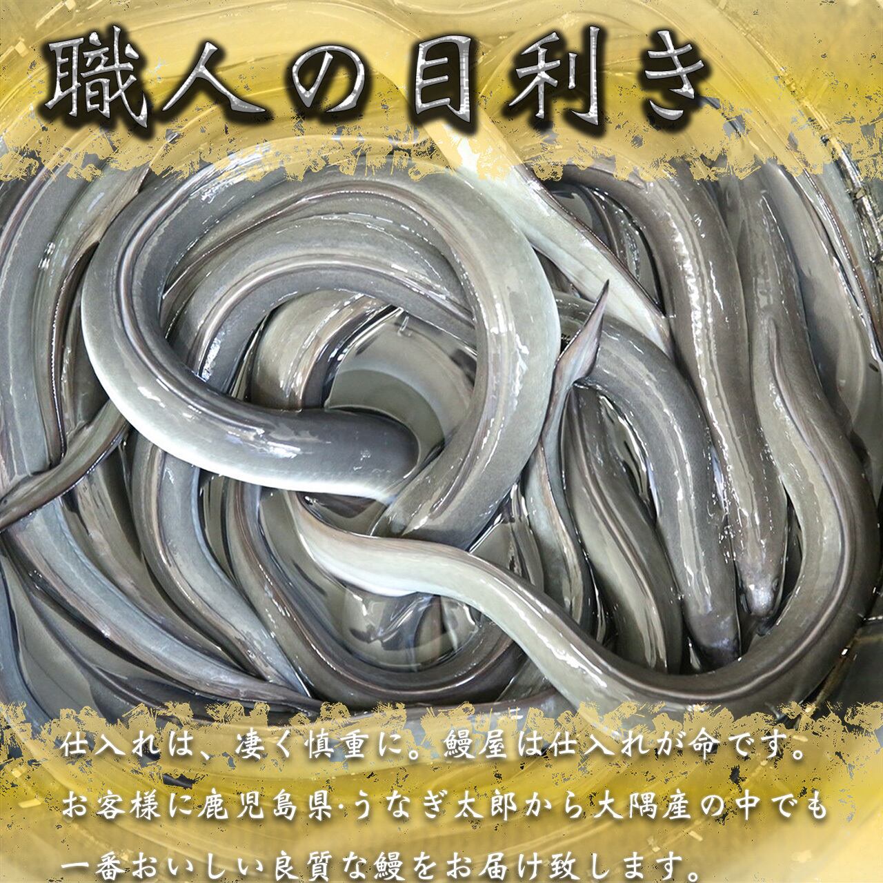 うなぎ蒲焼 4尾 | 【公式】うなぎ太郎｜鹿児島県うなぎ専門店