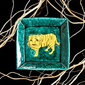 村田菜穂美作 青手虎文 15cm角皿(1枚)