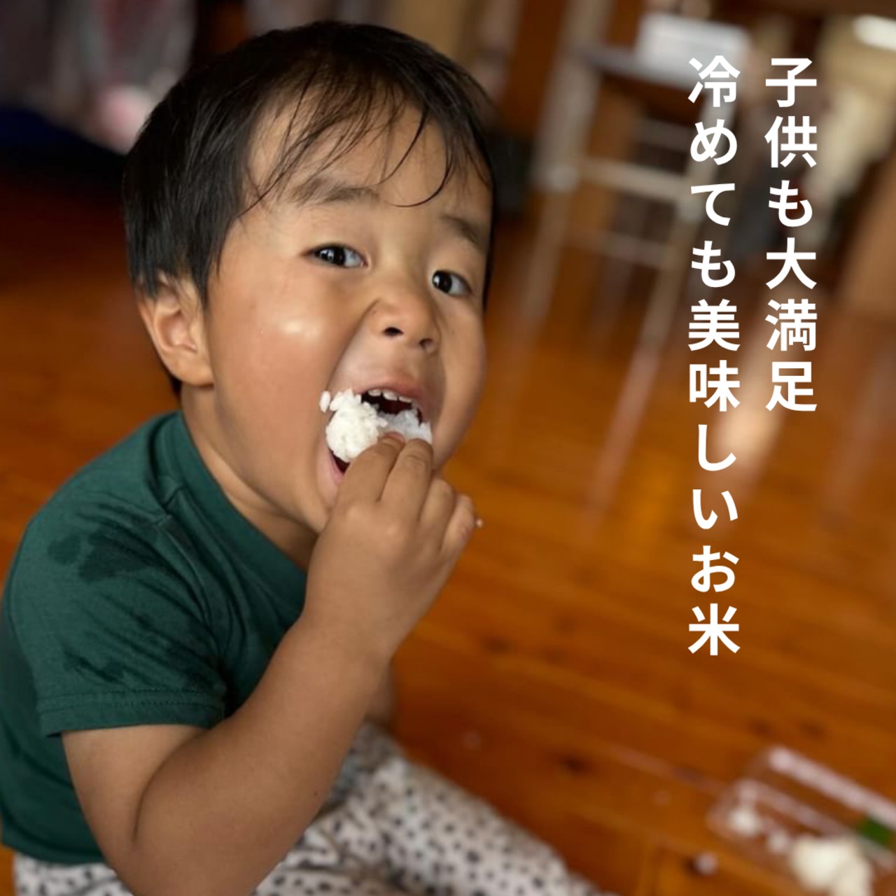 【定期便】玄米10kg｜徳地きぬむすめ｜農家直送 山口県｜ 送料無料（北海道、沖縄を除く）