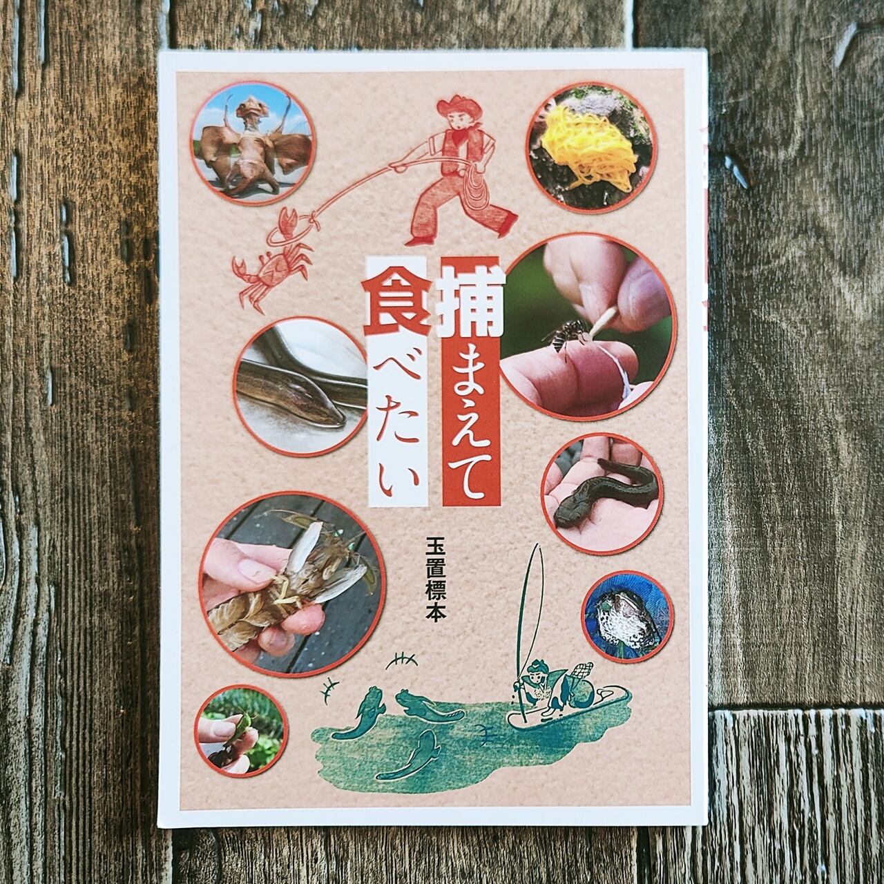 自然 Nature | NutsBookStand