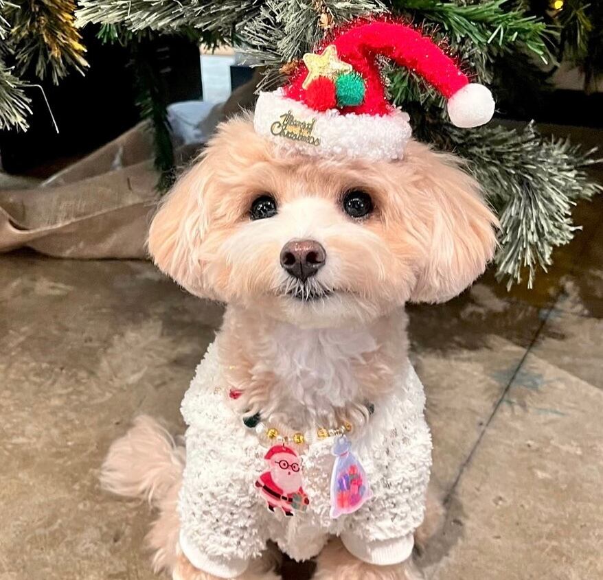 クリスマス*サンタさんとプレゼントのネックレス