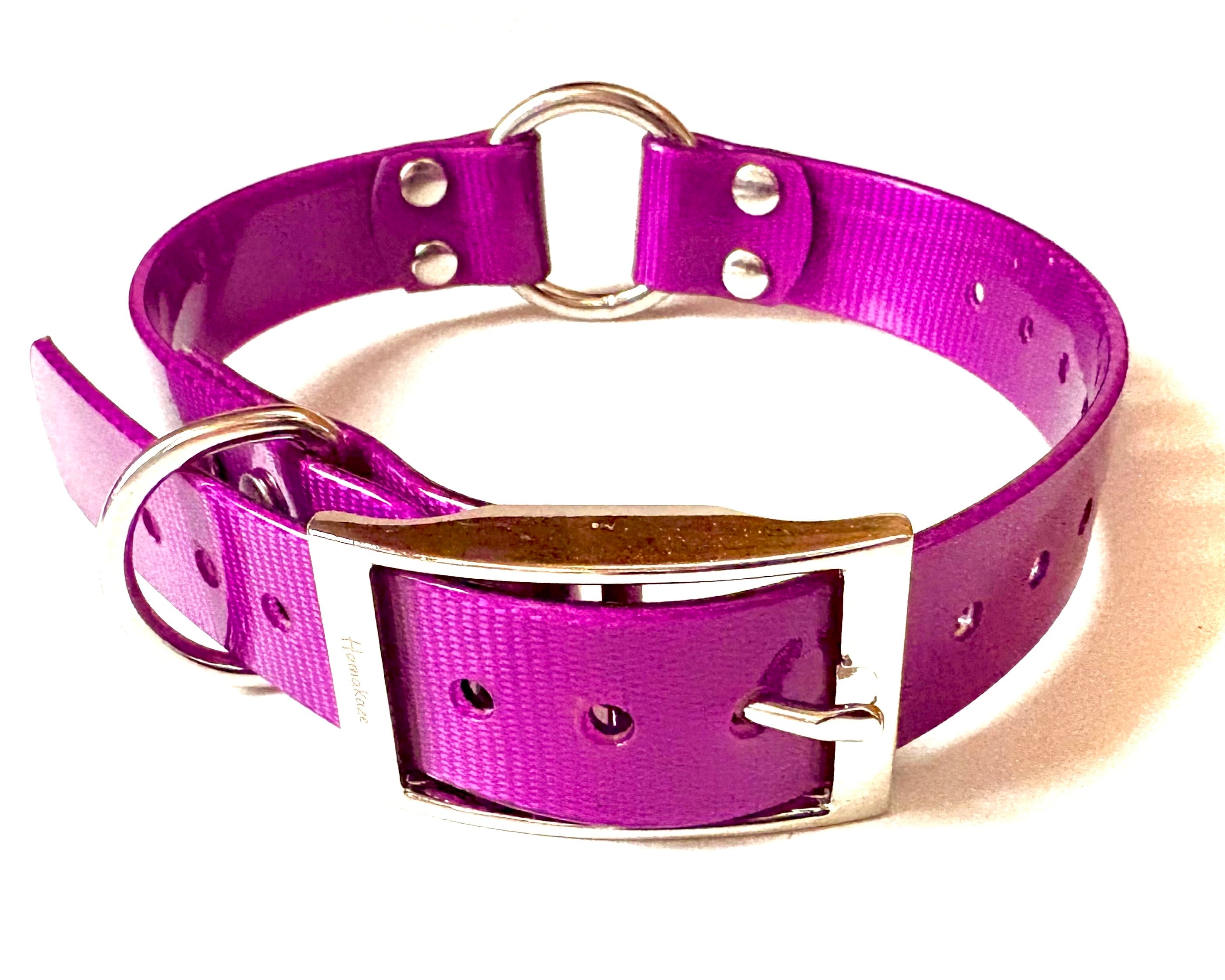 東京ファンミPR猟犬2枚 東京ファンミPR猟犬2枚 スキージョアリングandスノーカニクロスin信濃