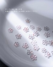 零れ桜【桜色】